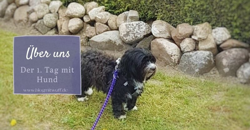 Über uns - Der 1. Tag mit Hund Über uns – Der 1. Tag mit Hund