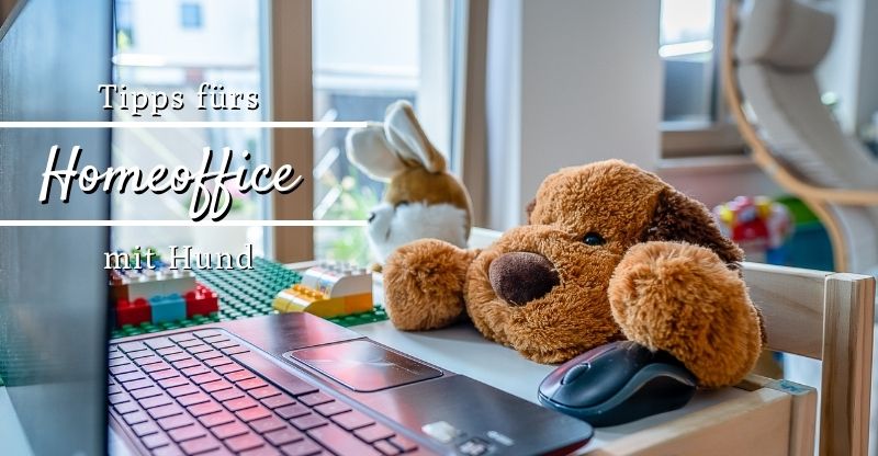 Homeoffice mit Hund Homeoffice mit Hund